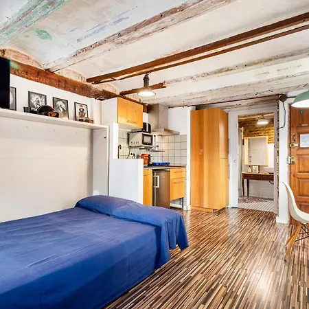 Loft Con Terraza En El Centro Daire *